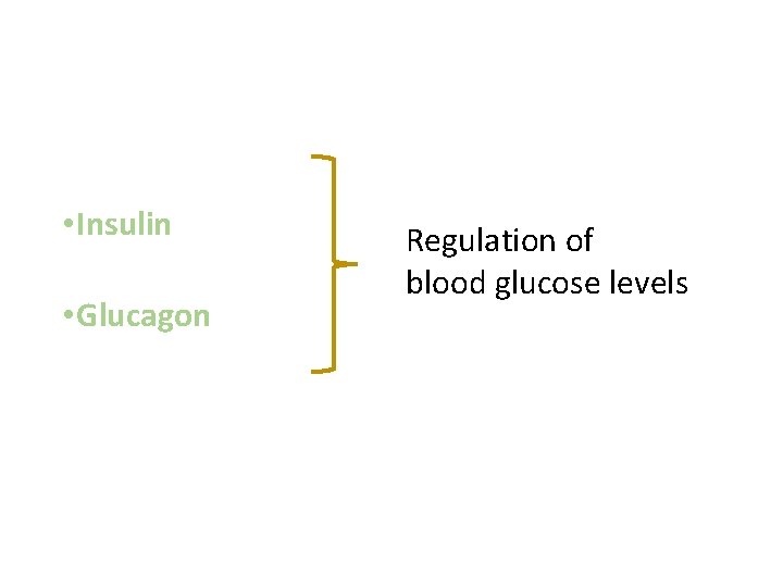  • Insulin • Glucagon Regulation of blood glucose levels 