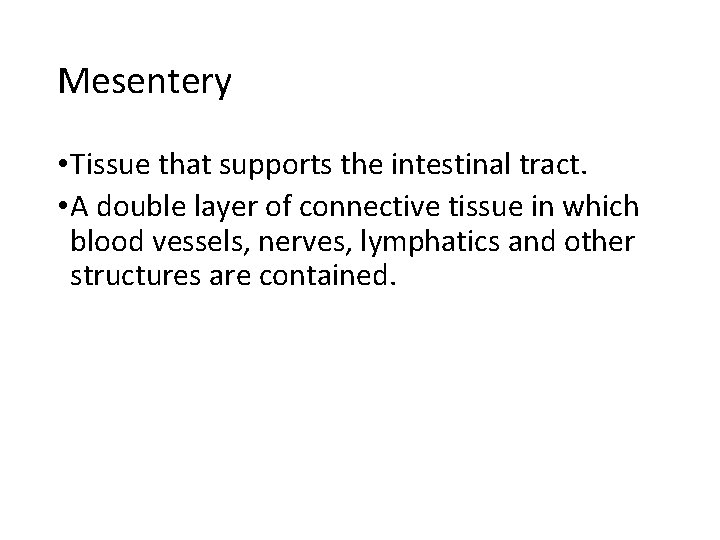 Mesentery • Tissue that supports the intestinal tract. • A double layer of connective