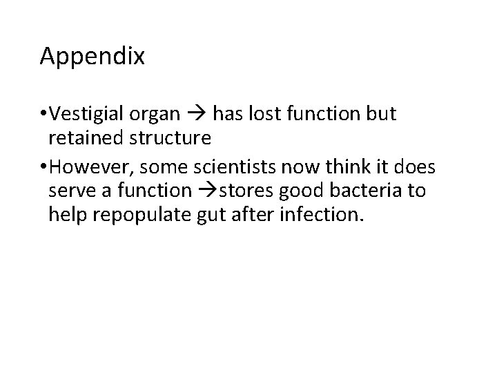 Appendix • Vestigial organ has lost function but retained structure • However, some scientists