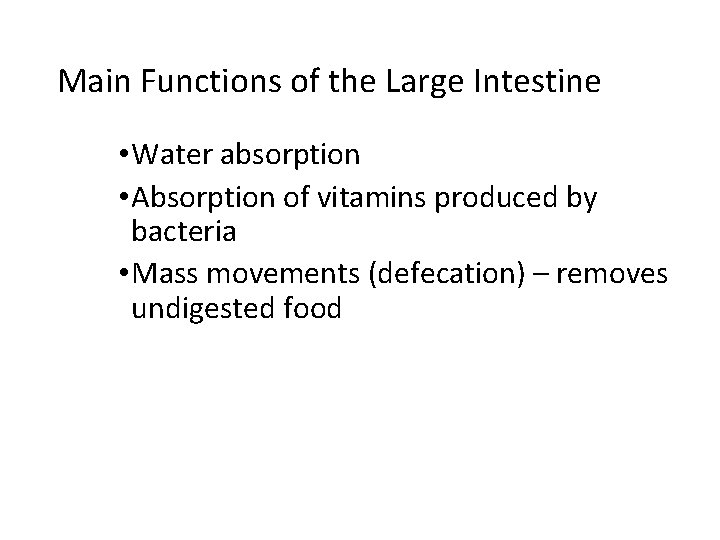 Main Functions of the Large Intestine • Water absorption • Absorption of vitamins produced