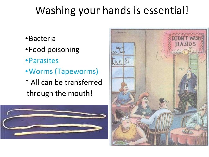 Washing your hands is essential! • Bacteria • Food poisoning • Parasites • Worms
