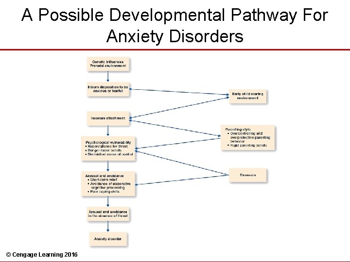 A Possible Developmental Pathway For Anxiety Disorders © Cengage Learning 2016 