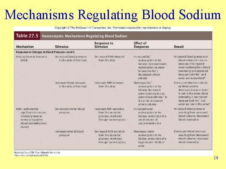 Mechanisms Regulating Blood Sodium 14 