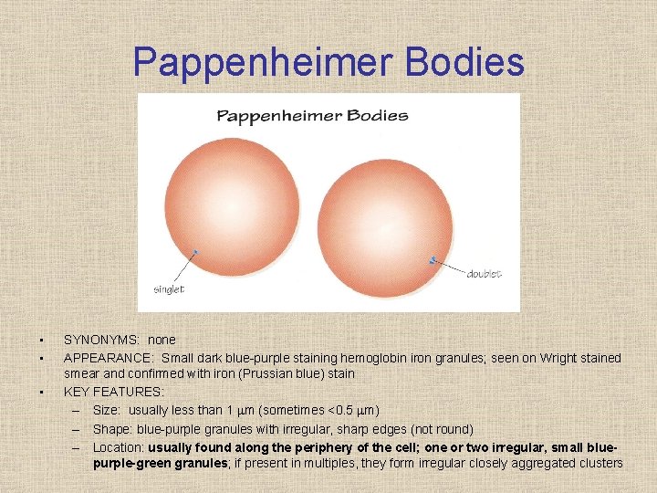 Pappenheimer Bodies • • • SYNONYMS: none APPEARANCE: Small dark blue purple staining hemoglobin