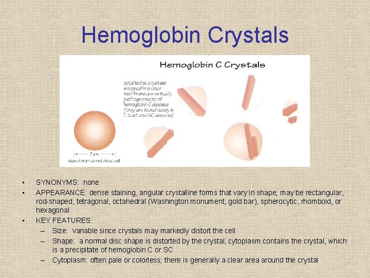 Hemoglobin Crystals • • • SYNONYMS: none APPEARANCE: dense staining, angular crystalline forms that
