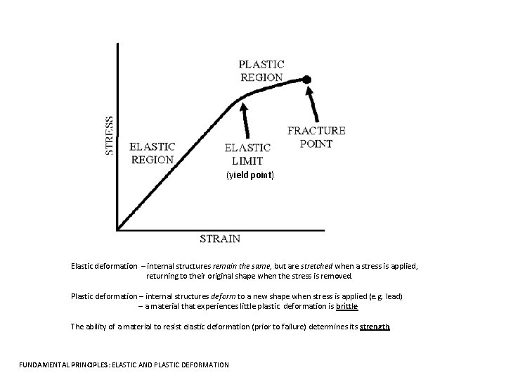 (yield point) Elastic deformation – internal structures remain the same, but are stretched when