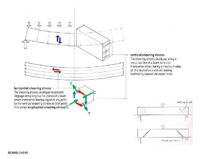 T C C T BEAMS: SHEAR 