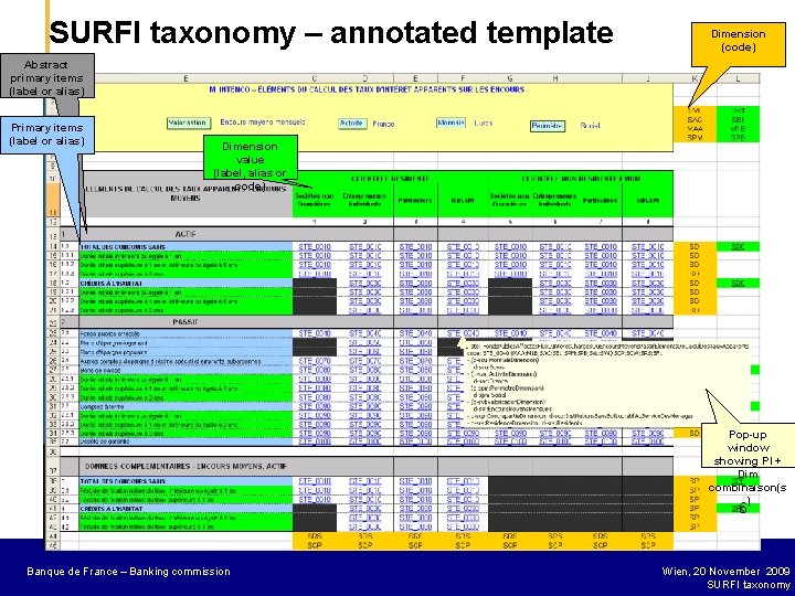 SURFI taxonomy – annotated template Dimension (code) Abstract primary items (label or alias) Primary