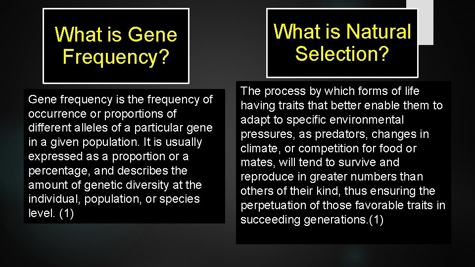 What is Gene Frequency? Gene frequency is the frequency of occurrence or proportions of