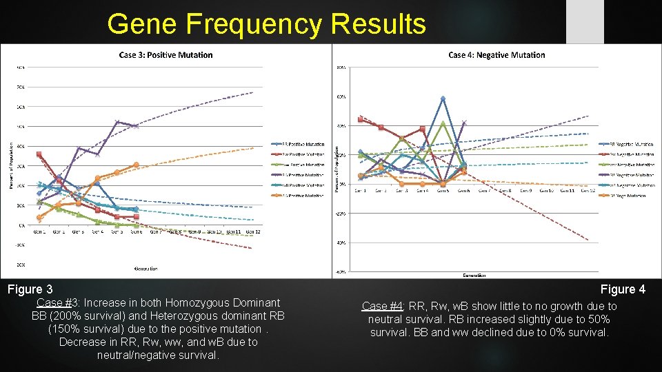 Gene Frequency Results Figure 3 Case #3: Increase in both Homozygous Dominant BB (200%