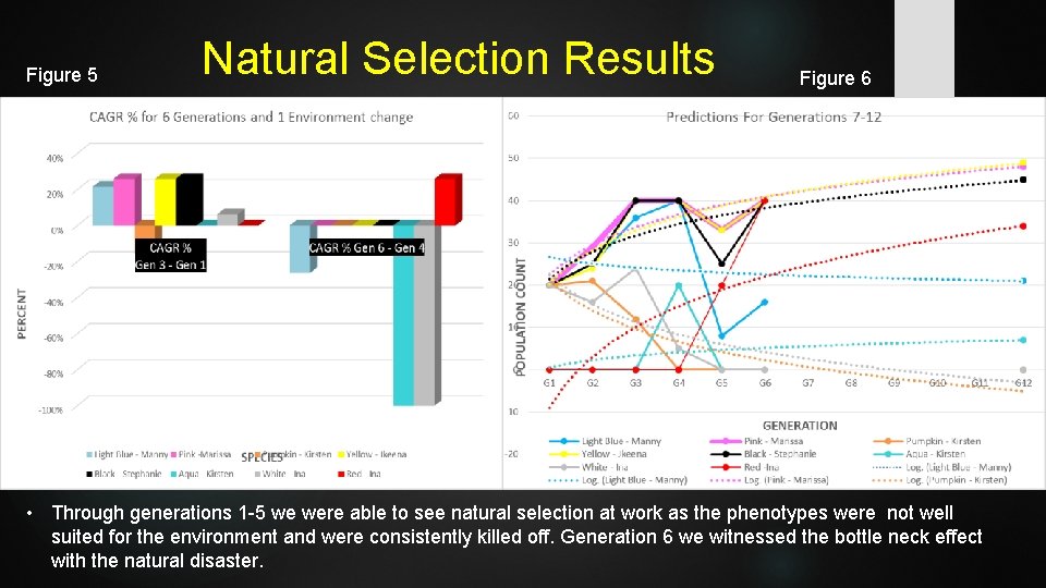 Figure 5 Natural Selection Results Figure 6 • Through generations 1 -5 we were