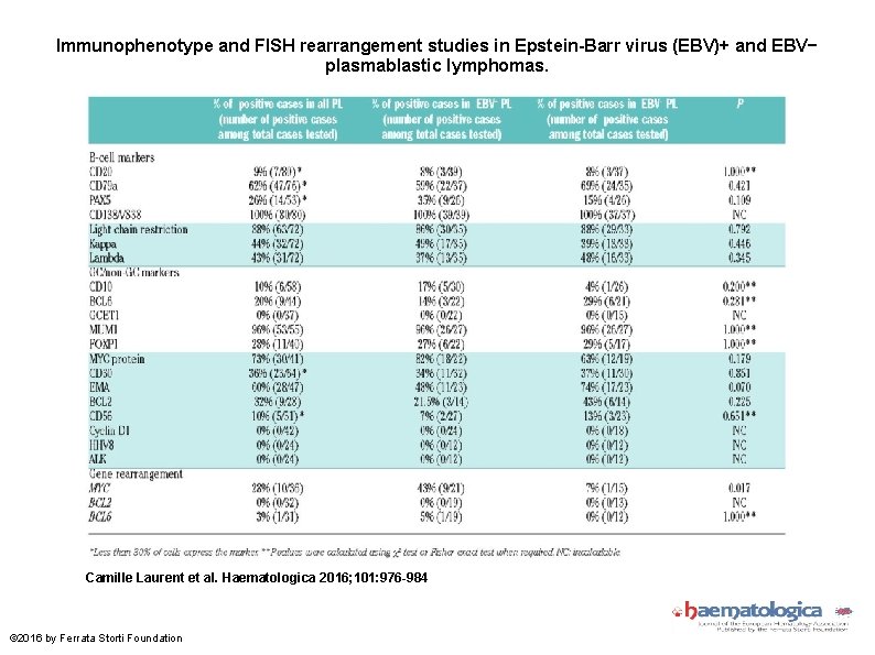 Immunophenotype and FISH rearrangement studies in Epstein-Barr virus (EBV)+ and EBV− plasmablastic lymphomas. Camille