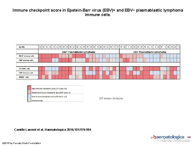 Immune checkpoint score in Epstein-Barr virus (EBV)+ and EBV− plasmablastic lymphoma immune cells. Camille