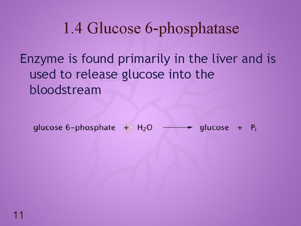1. 4 Glucose 6 -phosphatase Enzyme is found primarily in the liver and is