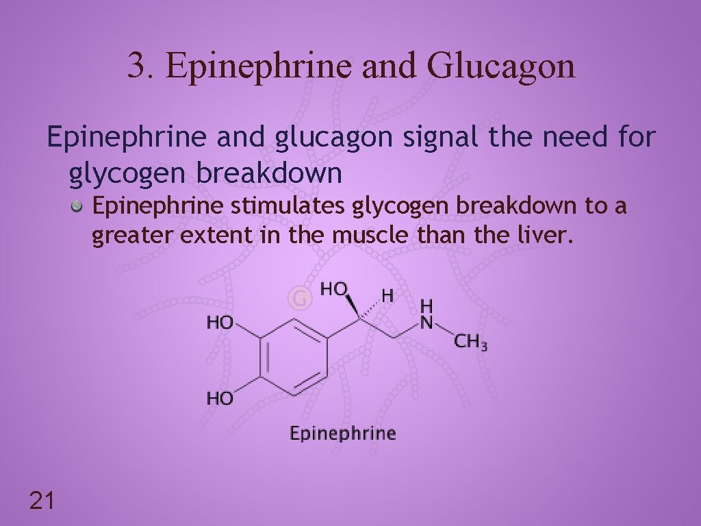 3. Epinephrine and Glucagon Epinephrine and glucagon signal the need for glycogen breakdown Epinephrine