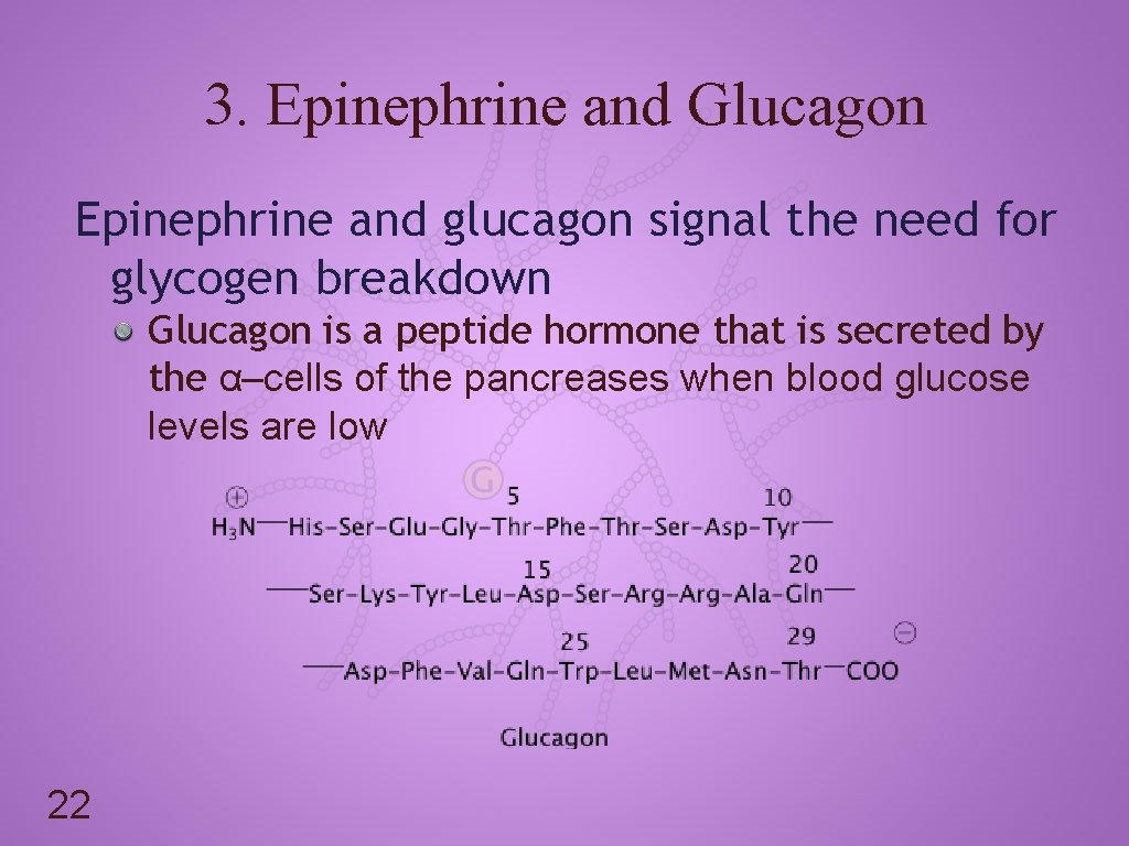 3. Epinephrine and Glucagon Epinephrine and glucagon signal the need for glycogen breakdown Glucagon