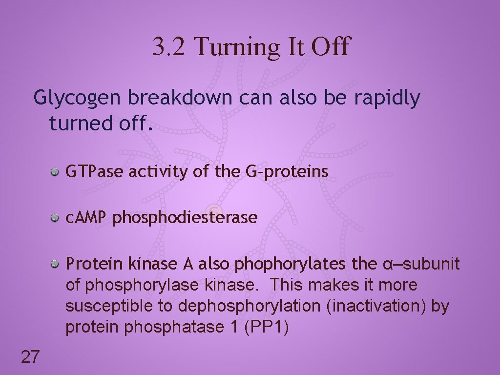 3. 2 Turning It Off Glycogen breakdown can also be rapidly turned off. GTPase
