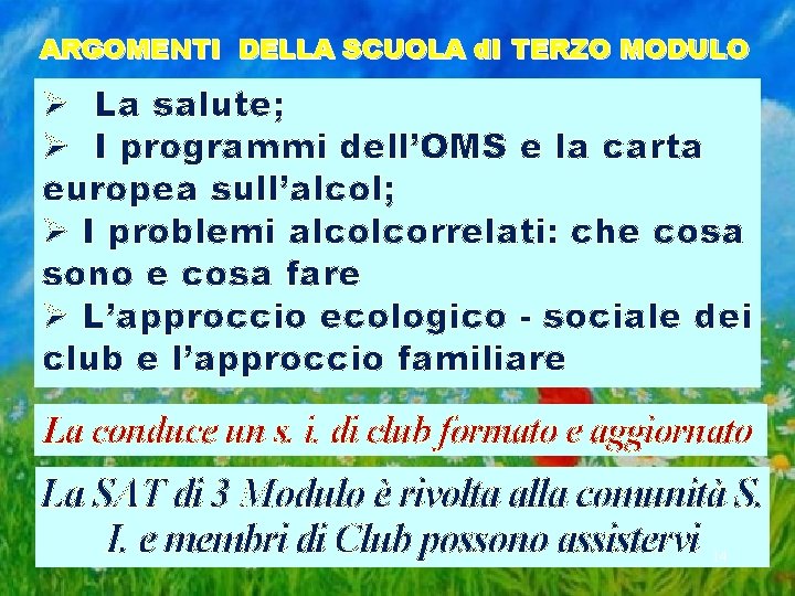 ARGOMENTI DELLA SCUOLA d. I TERZO MODULO Ø La salute; Ø I programmi dell’OMS