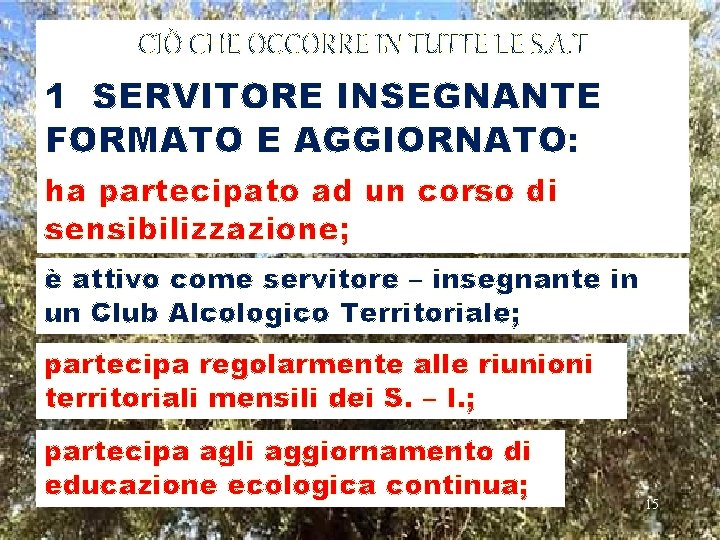 CIÒ CHE OCCORRE IN TUTTE LE S. A. T 1 SERVITORE INSEGNANTE FORMATO E