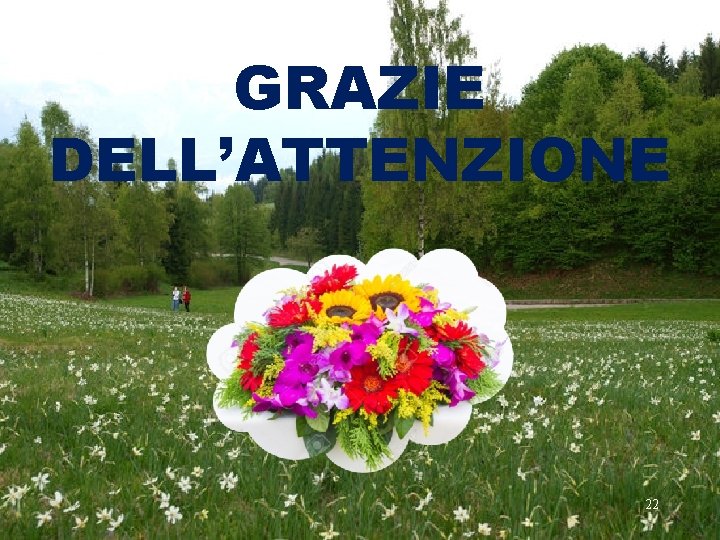 GRAZIE DELL’ATTENZIONE 22 