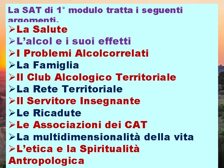 La SAT di 1° modulo tratta i seguenti argomenti. ØLa Salute ØL’alcol e i