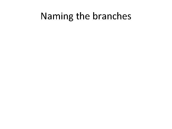 Naming the branches 