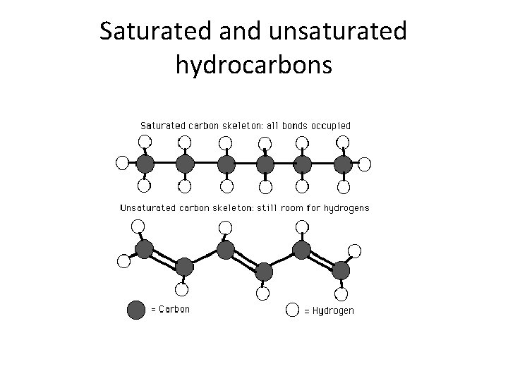Saturated and unsaturated hydrocarbons 