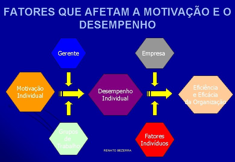 FATORES QUE AFETAM A MOTIVAÇÃO E O DESEMPENHO Gerente Motivação Individual Empresa Eficiência e