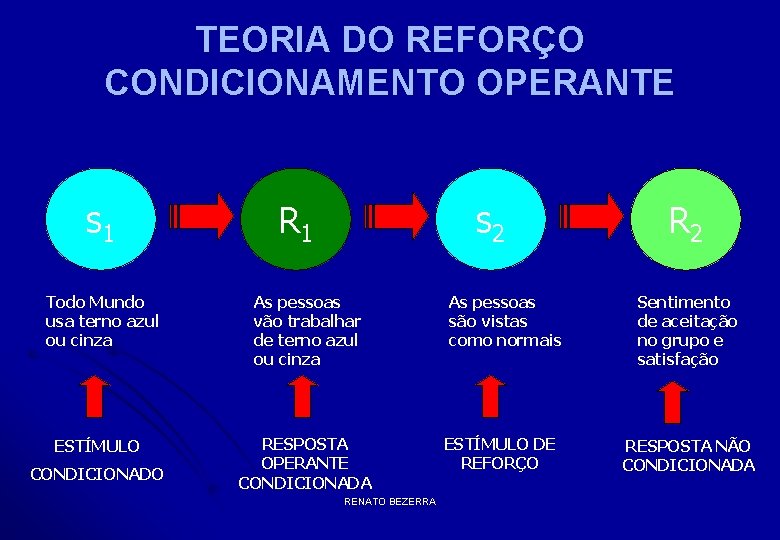 TEORIA DO REFORÇO CONDICIONAMENTO OPERANTE s 1 Todo Mundo usa terno azul ou cinza