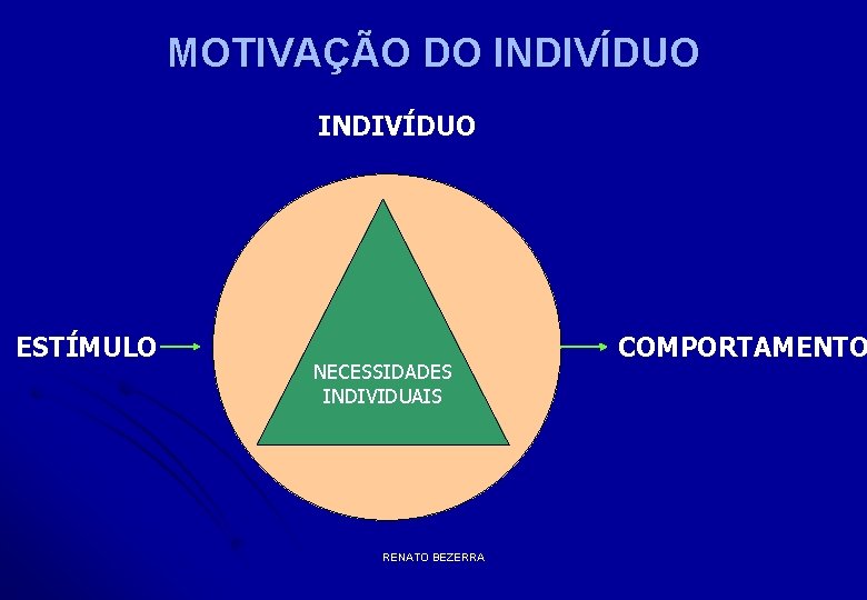 MOTIVAÇÃO DO INDIVÍDUO ESTÍMULO NECESSIDADES INDIVIDUAIS RENATO BEZERRA COMPORTAMENTO 