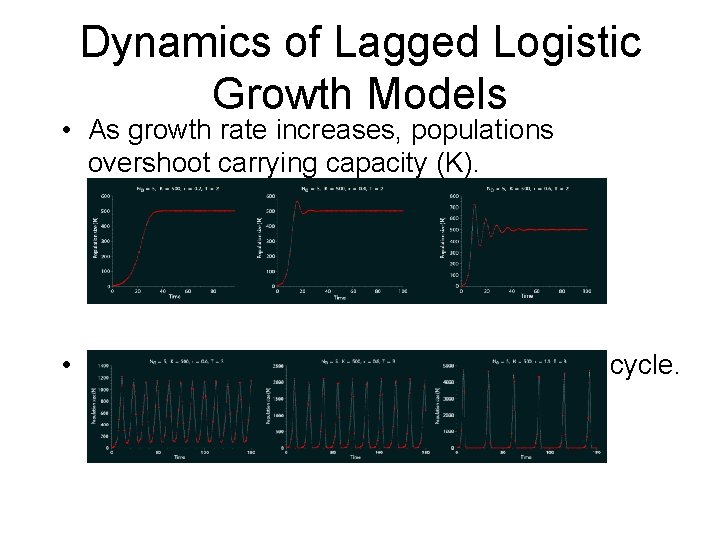 Dynamics of Lagged Logistic Growth Models • As growth rate increases, populations overshoot carrying