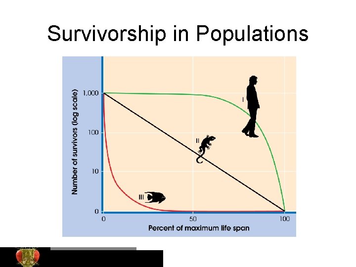 Survivorship in Populations Bio. Ed Online 