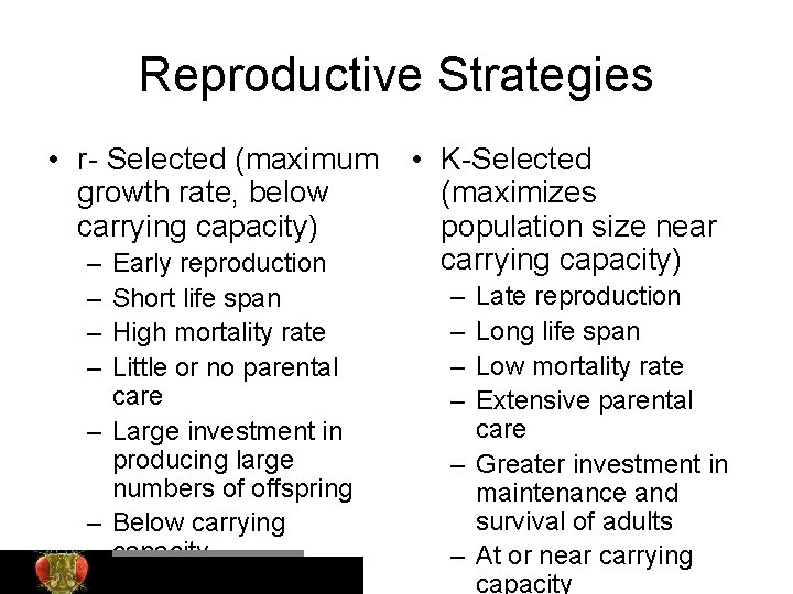 Reproductive Strategies • r- Selected (maximum growth rate, below carrying capacity) – – Early