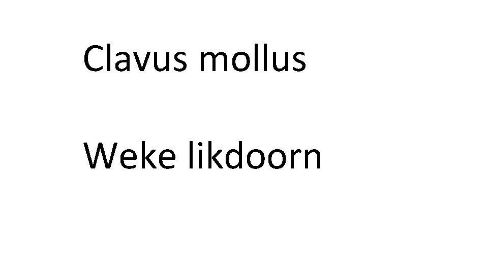 Clavus mollus Weke likdoorn 