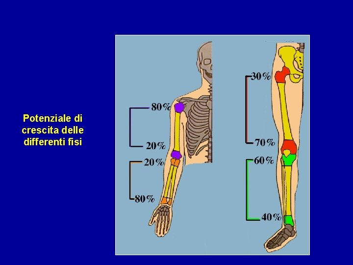 Potenziale di crescita delle differenti fisi 