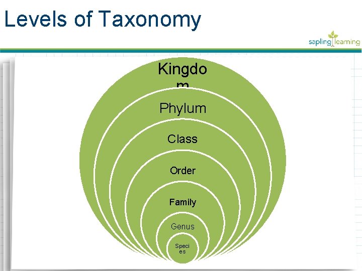 Levels of Taxonomy Kingdo m Phylum Class Order Family Genus Speci es 