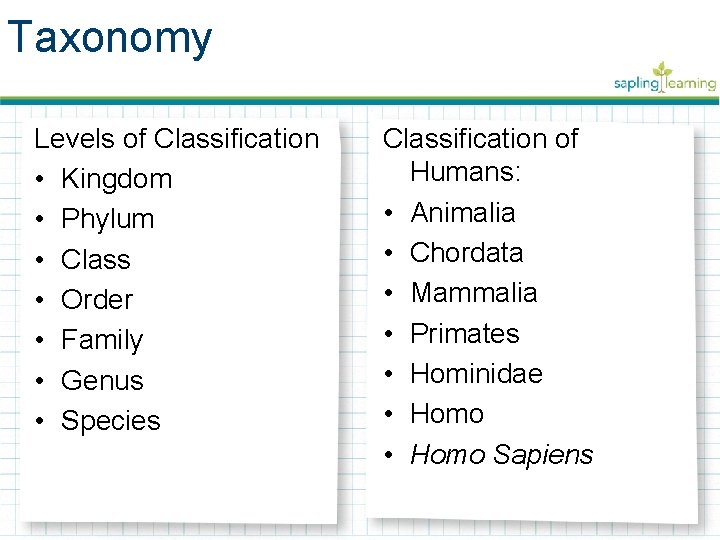 Taxonomy Levels of Classification • Kingdom • Phylum • Class • Order • Family