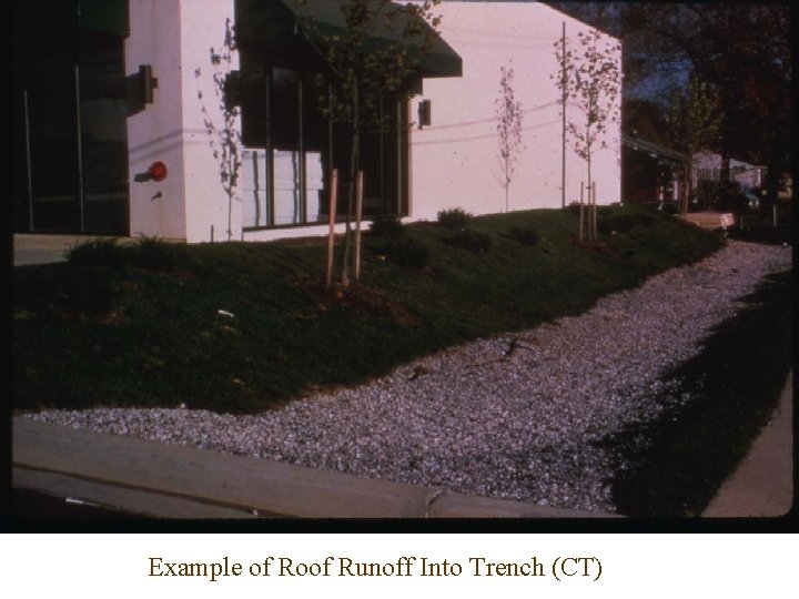 Example of Roof Runoff Into Trench (CT) 