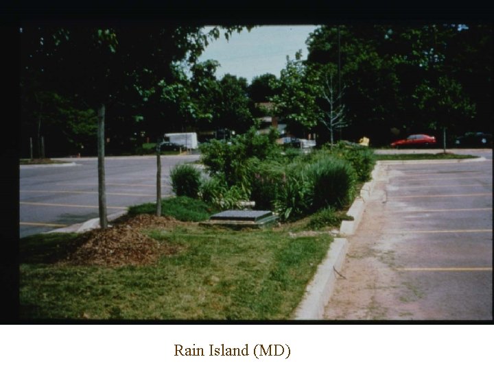 Rain Island (MD) 