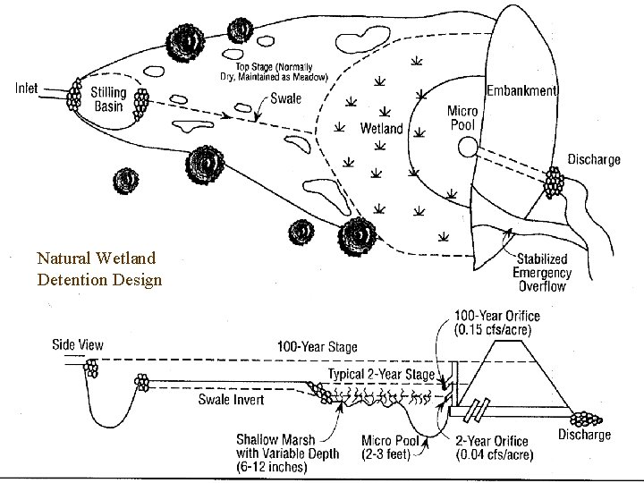 Natural Wetland Detention Design 