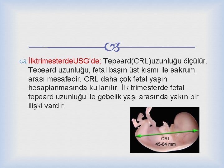  İlktrimesterde. USG’de; Tepeard(CRL)uzunluğu ölçülür. Tepeard uzunluğu, fetal başın üst kısmı ile sakrum arası