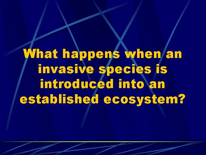 What happens when an invasive species is introduced into an established ecosystem? 
