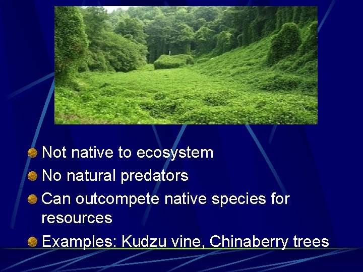 Not native to ecosystem No natural predators Can outcompete native species for resources Examples: