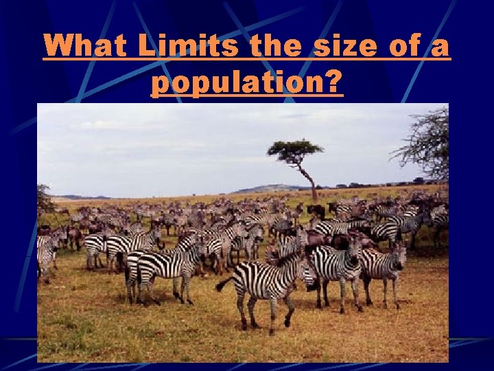 What Limits the size of a population? 