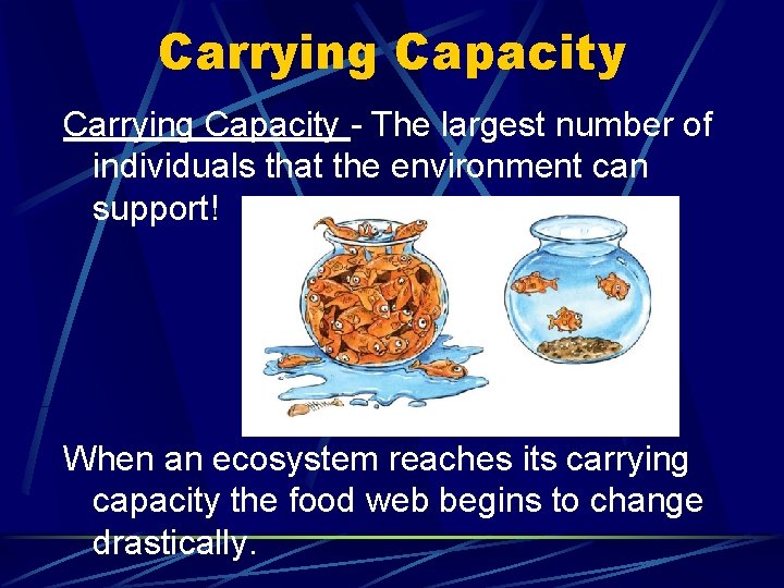 Carrying Capacity - The largest number of individuals that the environment can support! When