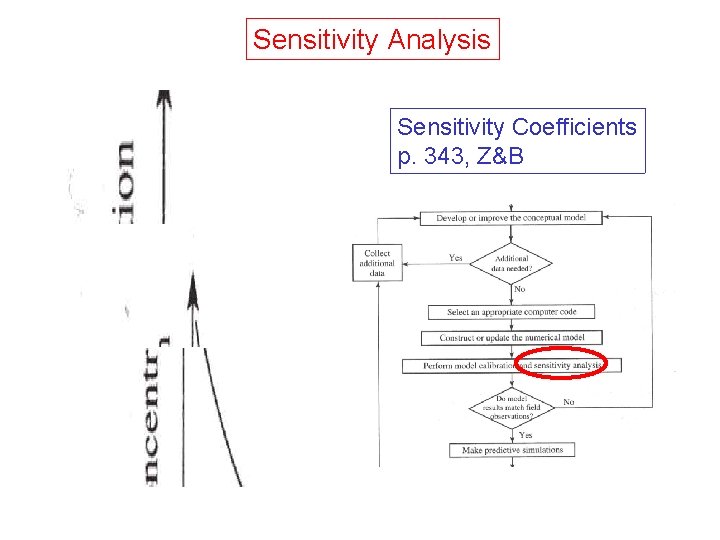 Sensitivity Analysis Sensitivity Coefficients p. 343, Z&B 