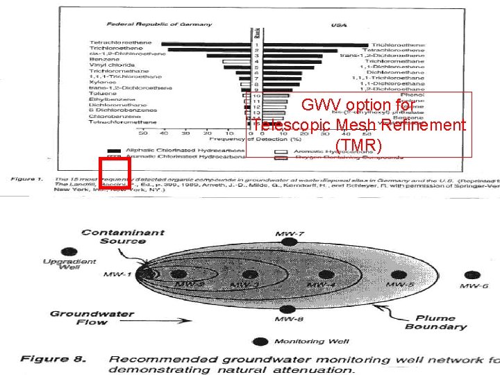 GWV option for Telescopic Mesh Refinement (TMR) 