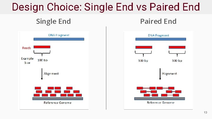 Design Choice: Single End vs Paired End Single End Paired End 13 