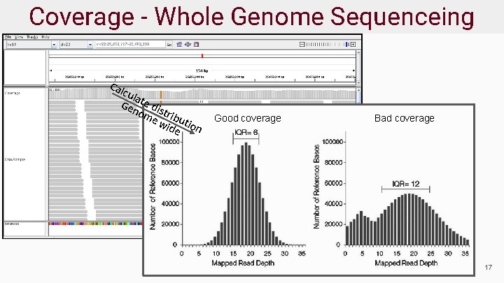Coverage - Whole Genome Sequenceing Ca lcu la Ge te di no s me