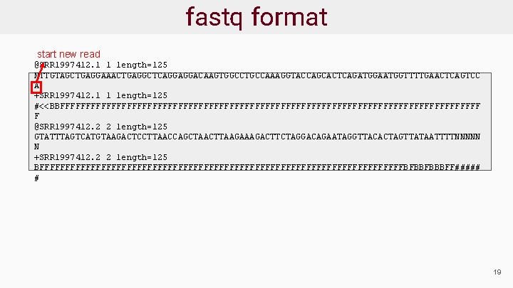 fastq format start new read @SRR 1997412. 1 1 length=125 NTTGTAGCTGAGGAAACTGAGGCTCAGGAGGACAAGTGGCCTGCCAAAGGTACCAGCACTCAGATGGAATGGTTTTGAACTCAGTCC A +SRR 1997412.